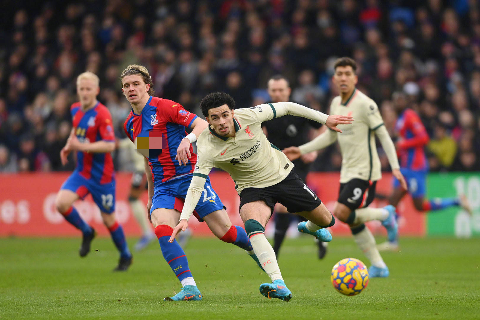 的复杂结合 的复杂结合